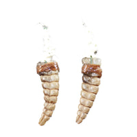 Rattlesnake Rattle Plus Vertebrae Earrings  #4450  Mountain Man Earrings