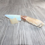 Coyote Foot Handle Opalite Blade Ornamental Knife # 27668