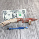 Coyote Foot Handle Stone Blade Ornamental Knife #27468