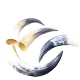 4 Raw Unfinished Cow Horns #104-1 Natural Colored