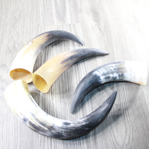 4 Raw Unfinished Cow Horns #104-1 Natural Colored