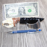Muskrat Skull Handle Obsidian  Blade Ornamental Knife # 08869