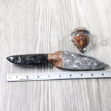 Orthoceras Fossil Handle Obsidian Blade Ornamental Knife #0150  Mountain Man Knife