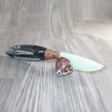 Orthoceras Fossil Handle Opalite Blade Ornamental Knife #06469