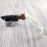 Coyote Jaw Handle Obsidian Blade Ornamental Knife #1350  Mountain Man Knife
