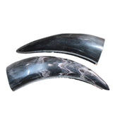 2 Polished Cow Horns #069    Natural colored