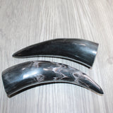 2 Polished Cow Horns #069    Natural colored