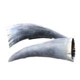 2 Small Raw Unfinished Cow Horns #8450    Natural Colored