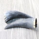 2 Small Raw Unfinished Cow Horns #8450    Natural Colored