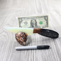 Orthoceras Fossil Handle Opalite Blade Ornamental Knife #8550     Mountain Man Knife