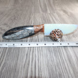 Orthoceras Fossil Handle Opalite Blade Ornamental Knife #06169