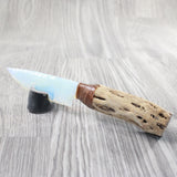 Cholla Cactua Wood Handle Opalite Blade Ornamental Knife #8650     Mountain Man Knife