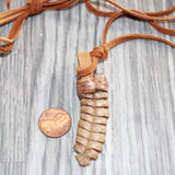 Large Rattlesnake Rattle  Necklace  #25469