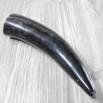 1 Polished Cow Horn #144-2 Natural Colored