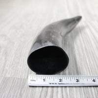 1 Polished Cow Horn #144-2 Natural Colored