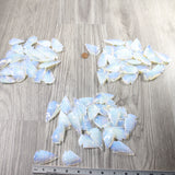 75 Large Opalite Ornamental Arrowheads  #0750      Arrowhead