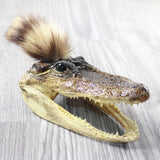 Alligator Head With Raccoon Tail Mohawk  #6750
