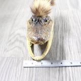 Alligator Head With Raccoon Tail Mohawk  #6750