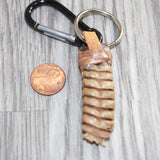 Very Large Rattlesnake Rattle Key Ring   #25269       Key Chain