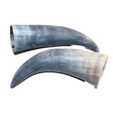 2 Raw Unfinished Cow Horns #169     Natural Colored