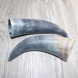 2 Raw Unfinished Cow Horns #169     Natural Colored