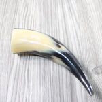 1 Small Polished Cow Horn #154-2 Natural Colored