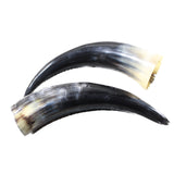 2 Polished Cow Horns #8950    Natural colored