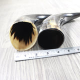 2 Polished Cow Horns #8950    Natural colored