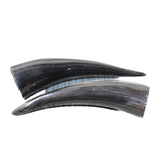 2 Small Polished Cow Horns #1950    Natural colored