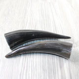 2 Small Polished Cow Horns #1950    Natural colored
