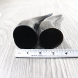 2 Small Polished Cow Horns #1950    Natural colored