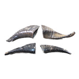 4 Small Polished Goat Horns #604-2 Natural Colored