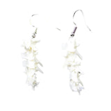 Rattlesnake Vertebrae  Earrings  #6050   Mountain Man Earrings