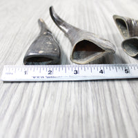 4 Small Polished Goat Horns #604-2 Natural Colored