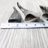 4 Small Polished Goat Horns #604-2 Natural Colored