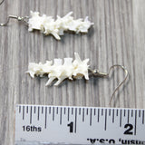 Rattlesnake Vertebrae  Earrings  #6050   Mountain Man Earrings