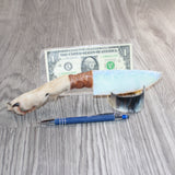 Coyote Foot Handle Opalite Blade Ornamental Knife #27469