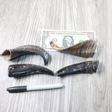 4 Small Polished Goat Horns #604-2 Natural Colored