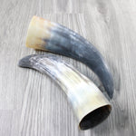 2 Raw Unfinished Cow Horns #804-2 Natural Colored