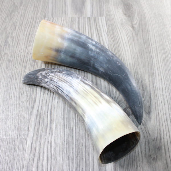 2 Raw Unfinished Cow Horns #804-2 Natural Colored