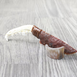 Coyote Jaw Handle Stone Blade Ornamental Knife #815n    Mountain Man Knife