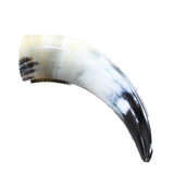 1 Small Polished Cow Horn #315n Natural Colored