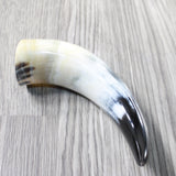 1 Small Polished Cow Horn #315n Natural Colored