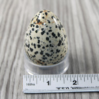 1 Dalmatian Egg  140 Grams #024-1 Gemstone Egg