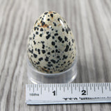 1 Dalmatian Egg  140 Grams #024-1 Gemstone Egg