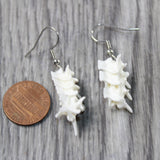 Rattlesnake Vertebrae  Earrings  #615n   Mountain Man Earrings