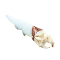 Muskrat Skull Handle Opalite Blade Ornamental Knife #334-2 Mountain Man Knife