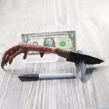Turkey Foot Handle Obsidian Blade Ornamental Knife #935n  Mountain Man Knife