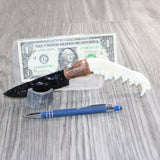 Coyote Jaw Handle Obsidian  Blade Ornamental Knife # 28869