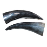 2 Small Polished Cow Horns #369    Natural colored